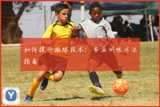 如何提升排球技术：专业训练方法指南